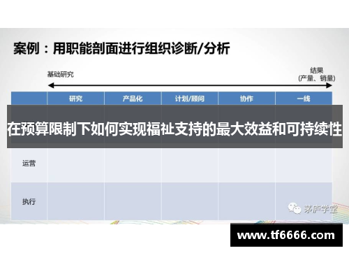 在预算限制下如何实现福祉支持的最大效益和可持续性