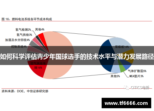 如何科学评估青少年国球选手的技术水平与潜力发展路径