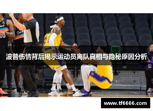 波普伤情背后揭示运动员离队真相与隐秘原因分析